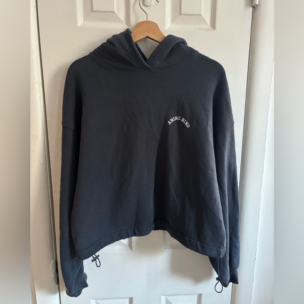 Anine Bing Lucy Hoodie